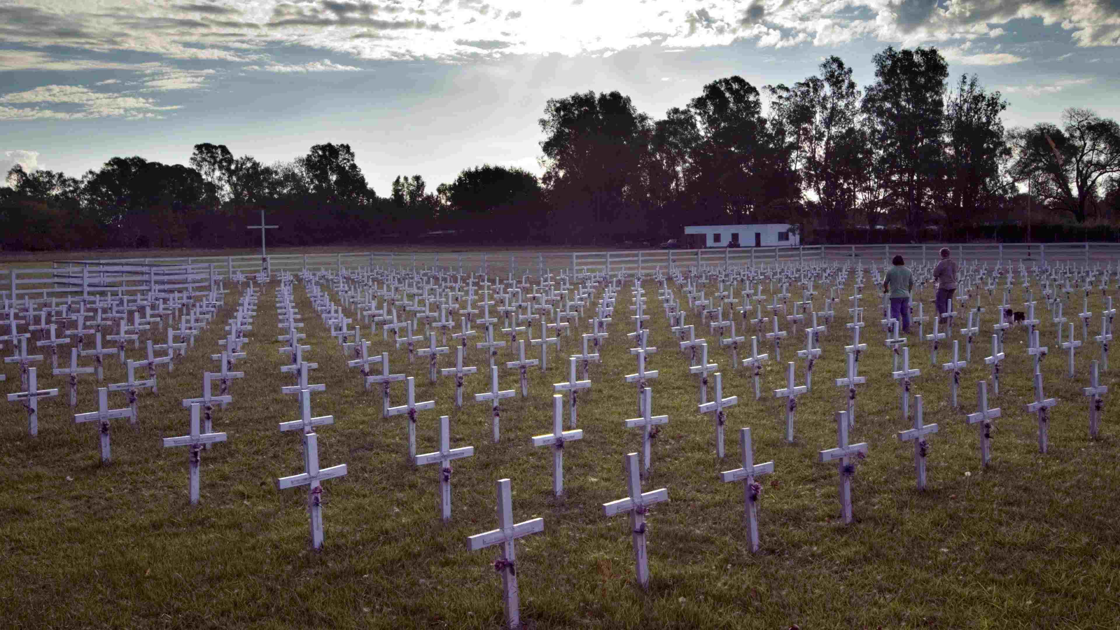 Cimetière militaire des victimes argentines de la guerre des Malouines